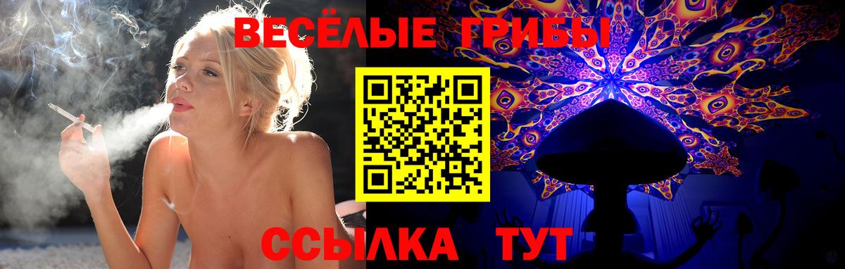 Галлюциногенные грибы Cubensis Семилуки